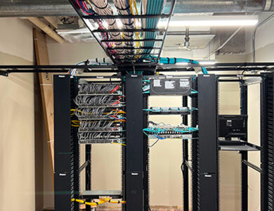 Solar-Pollinator-Habitat_-Third-Sun-Kokosing-Solar_Denison-University_Granville-Ohio 111