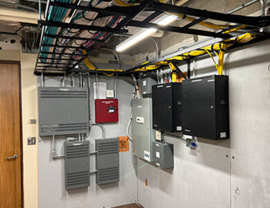 Solar-Pollinator-Habitat_-Third-Sun-Kokosing-Solar_Denison-University_Granville-Ohio 115