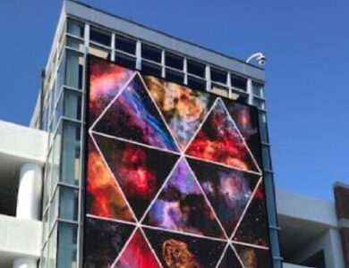 Solar-Pollinator-Habitat_-Third-Sun-Kokosing-Solar_Denison-University_Granville-Ohio 128
