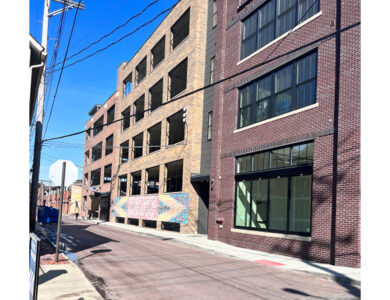 Solar-Pollinator-Habitat_-Third-Sun-Kokosing-Solar_Denison-University_Granville-Ohio 157