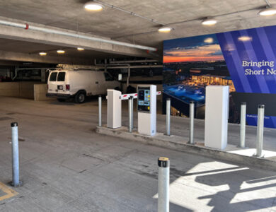 Solar-Pollinator-Habitat_-Third-Sun-Kokosing-Solar_Denison-University_Granville-Ohio 168