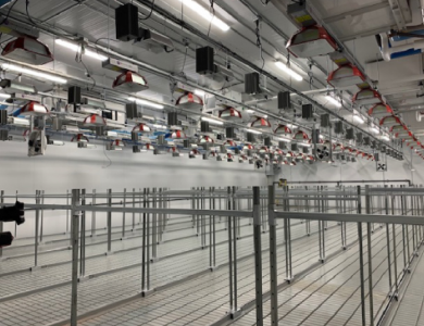Solar-Pollinator-Habitat_-Third-Sun-Kokosing-Solar_Denison-University_Granville-Ohio 176